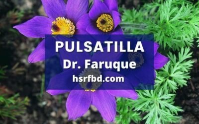 Pulsatilla এর ১ম কথা পরিবর্তনশীলতা